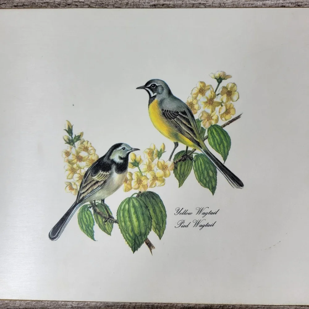 VTG Lady Clare Bird Luncheon Placemats Set 4 Felt Back England Warbler Bunting